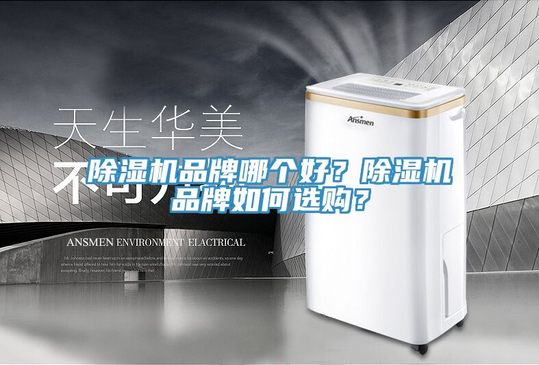 蘑菇视频网站品牌哪個好？蘑菇视频网站品牌如何選購？