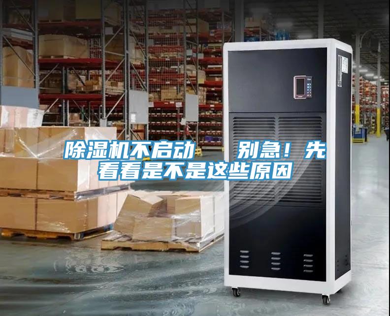 蘑菇视频网站不啟動   別急！先看看是不是這些原因