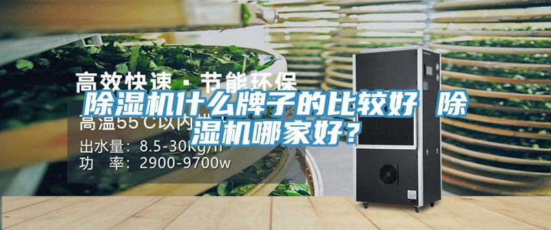 蘑菇视频网站什麽牌子的比較好 蘑菇视频网站哪家好？