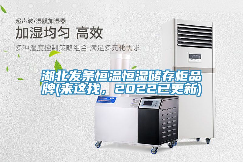 湖北發條恒溫恒濕儲存櫃品牌(來這找，2022已更新)