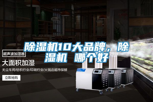 蘑菇视频网站10大品牌，蘑菇视频网站 哪個好