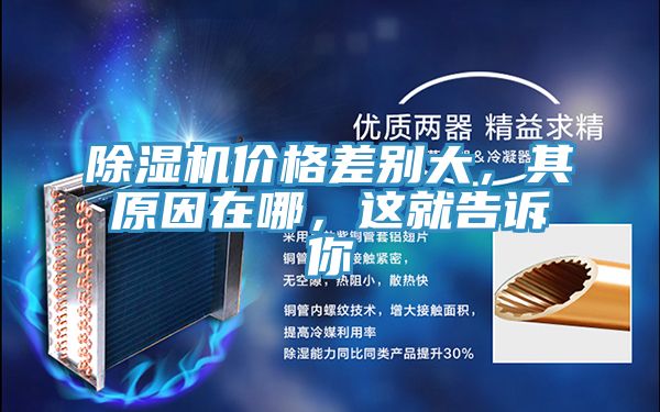 蘑菇视频网站價格差別大，其原因在哪，這就告訴你