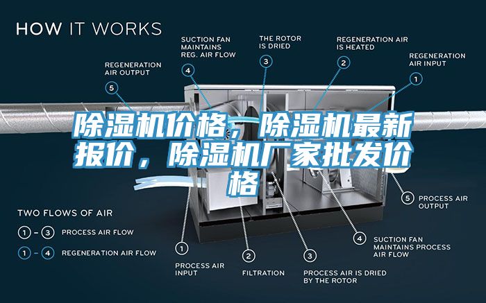 蘑菇视频网站價格，蘑菇视频网站最新報價，蘑菇视频网站廠家批發價格