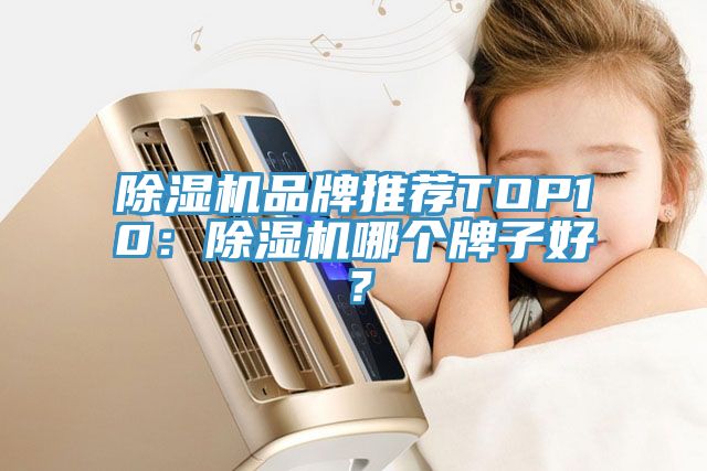蘑菇视频网站品牌推薦TOP10：蘑菇视频网站哪個牌子好？