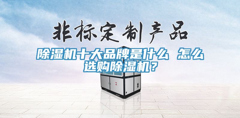 蘑菇视频网站十大品牌是什麽 怎麽選購蘑菇视频网站？