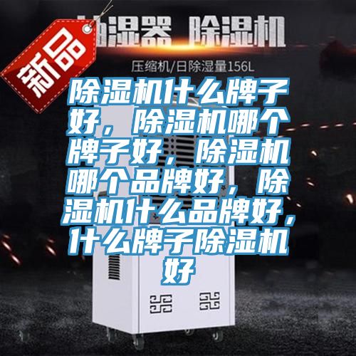 蘑菇视频网站什麽牌子好，蘑菇视频网站哪個牌子好，蘑菇视频网站哪個品牌好，蘑菇视频网站什麽品牌好，什麽牌子蘑菇视频网站好