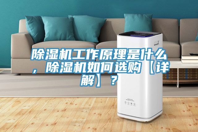 蘑菇视频网站工作原理是什麽，蘑菇视频网站如何選購【詳解】？