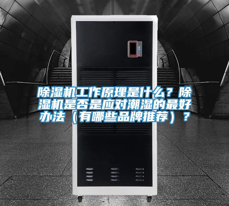 蘑菇视频网站工作原理是什麽？蘑菇视频网站是否是應對潮濕的最好辦法（有哪些品牌推薦）？