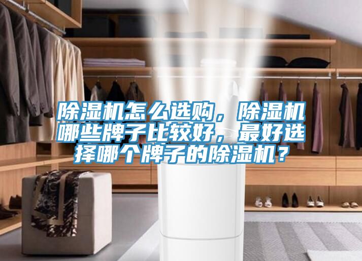 蘑菇视频网站怎麽選購，蘑菇视频网站哪些牌子比較好，最好選擇哪個牌子的蘑菇视频网站？