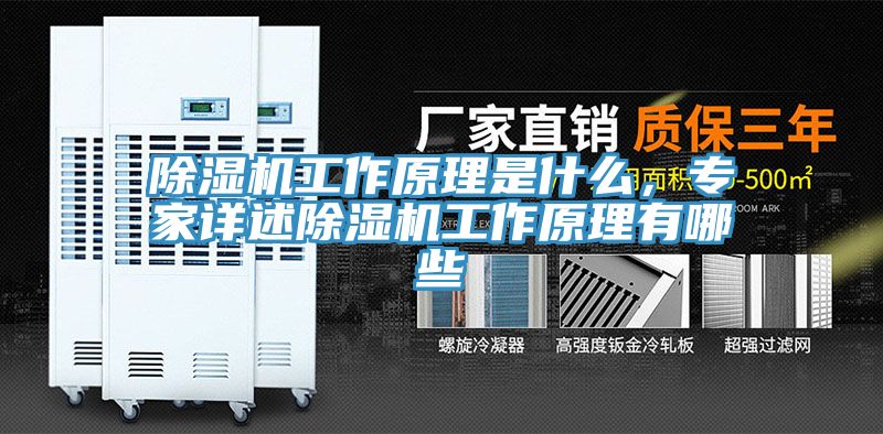 蘑菇视频网站工作原理是什麽，專家詳述蘑菇视频网站工作原理有哪些