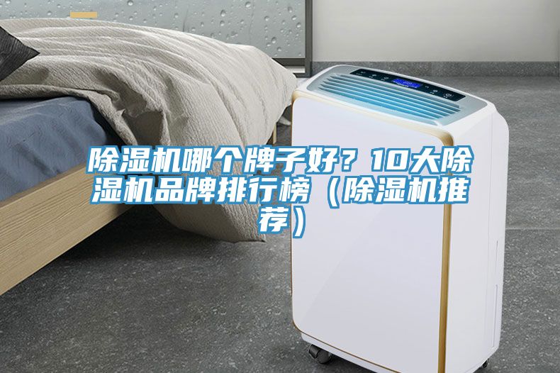 蘑菇视频网站哪個牌子好？10大蘑菇视频网站品牌排行榜（蘑菇视频网站推薦）
