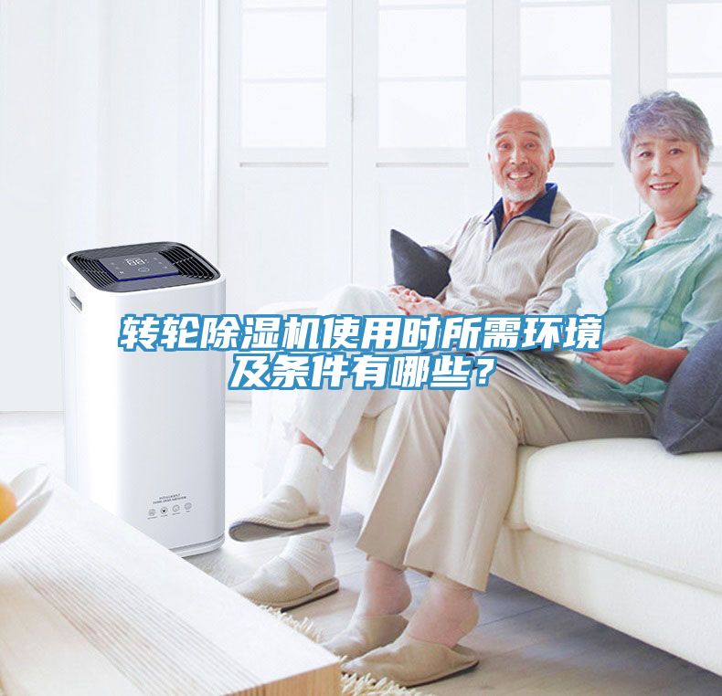 轉輪蘑菇视频网站使用時所需環境及條件有哪些？