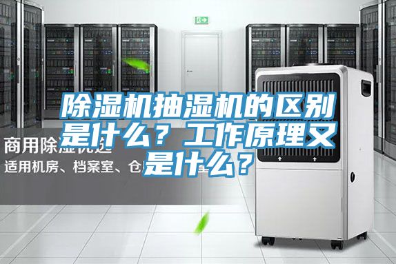 蘑菇视频网站抽濕機的區別是什麽？工作原理又是什麽？